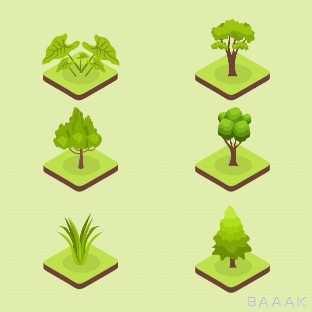 مجموعه-ایزومتریک-گیاهان-و-درختان-سبز_767798141