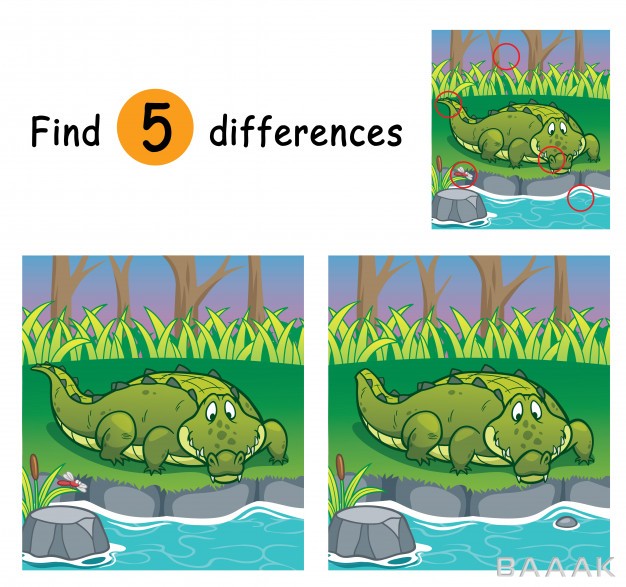 تصویر-تمساح-برای-بازی-حدس-تفاوت‌های-دو-عکس_613377756