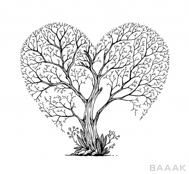شاخه‌های-درخت-با-تصویر-قلب_771531926