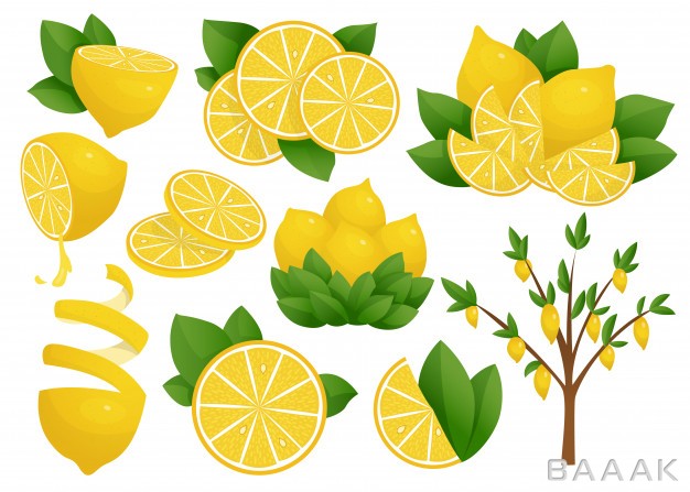 مجموعه-تصاویر-لیموی-زرد-رنگ-و-درخت-لیمو_754474211