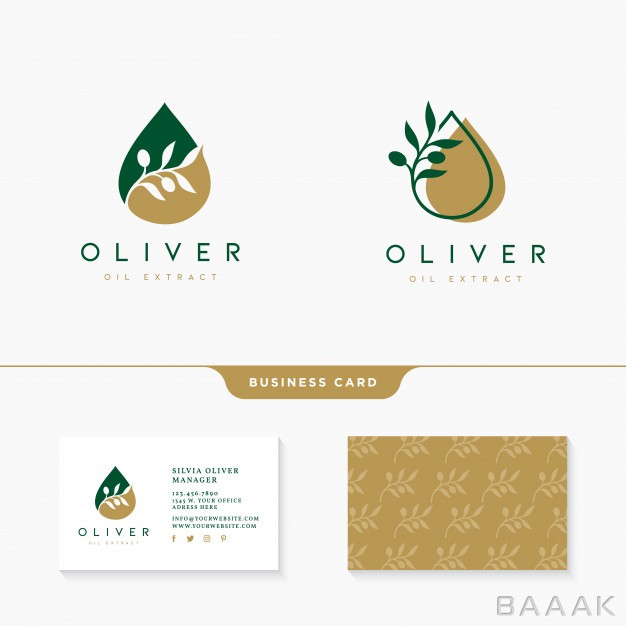 کارت-ویزیت-خلاقانه-Olive-oil-logo-design-with-business-card-template