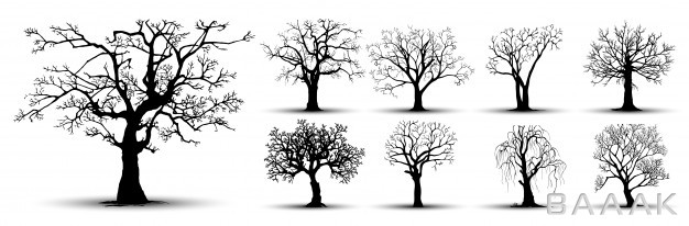 پک-درخت-های-وکتوری-برای-طراحی-های-مختلف_902569394