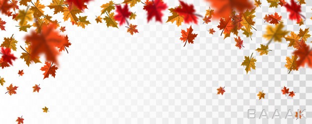 پس-زمینه-جذاب-Autumn-falling-leaves-background_863750875