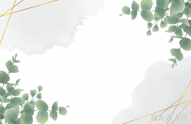 پس-زمینه-خاص-Watercolor-eucalyptus-leaf-background_555337715