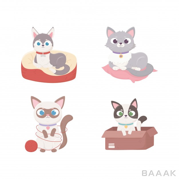 تصویر-گربه-های-دراز-کشیده-روی-کوسن-و-کارتون_218848322