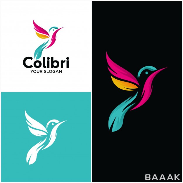 لوگو-فوق-العاده-Beautiful-simple-bird-colibri-logo-template_960211168