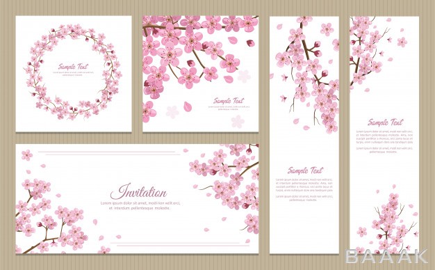 بنر-جذاب-Set-greeting-cards-banners-invitation-card-with-blossom-sakura-flowers_410324430