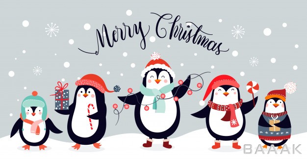 پس-زمینه-مدرن-و-جذاب-Christmas-card-with-cute-penguins-isolated-winter-background_799357116