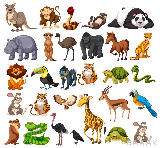 انواع-حیوانات-وحشی-کارتونی_586550249