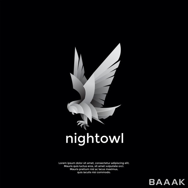 لوگو-پرکاربرد-Night-owl-logo-template_489004152