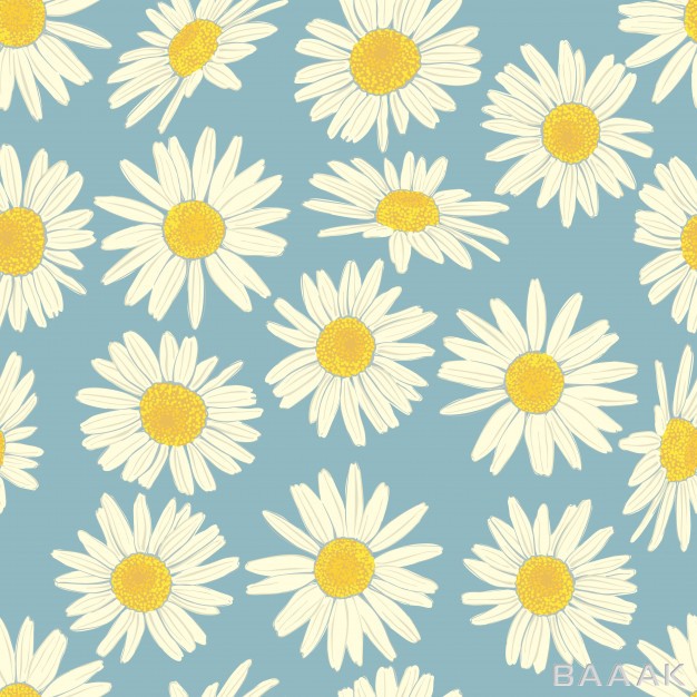 پترن-مدرن-و-خلاقانه-Floral-seamless-pattern-with-camomile_362979837