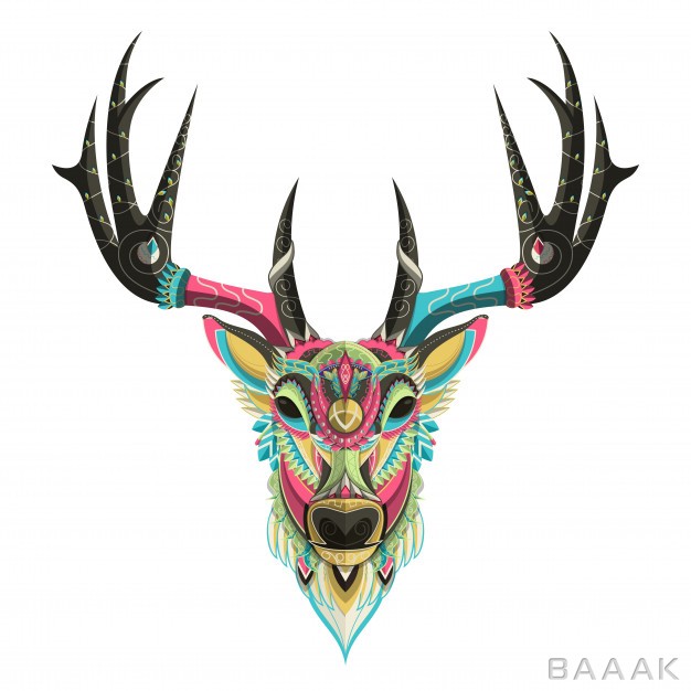 پس-زمینه-خلاقانه-Stylized-colorful-deer-portrait-white-background_781118900