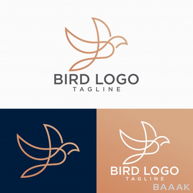 لوگو-خاص-و-مدرن-Bird-logo-abstract-lineart-outline-design-vector-template_667236340