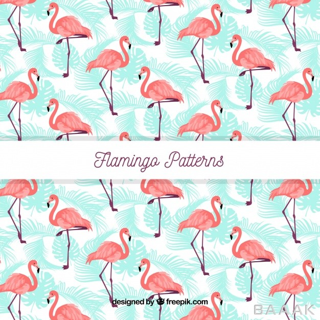 پترن-مدرن-و-جذاب-Flamenco-summer-pattern_323374016