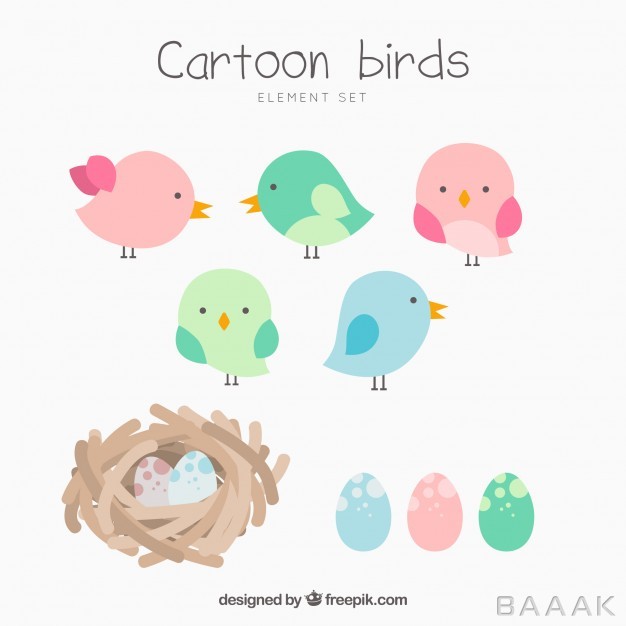 کالکشن-پرنده-های-رنگارنگ-و-کارتونی-به-همراه-لانه_955681226