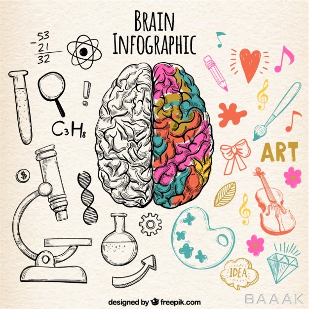 اینفوگرافیک-جذاب-و-مدرن-Fantastic-human-brain-infographic-with-color-details_1024200