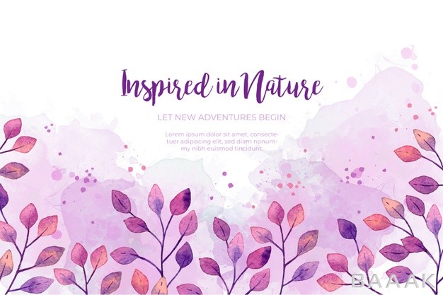 پس-زمینه-خلاقانه-Watercolor-purple-leaves-frame-background_505429008