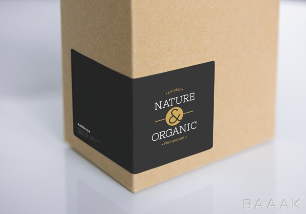 موکاپ-مدرن-Natural-paper-box-packaging-mockup_325289409