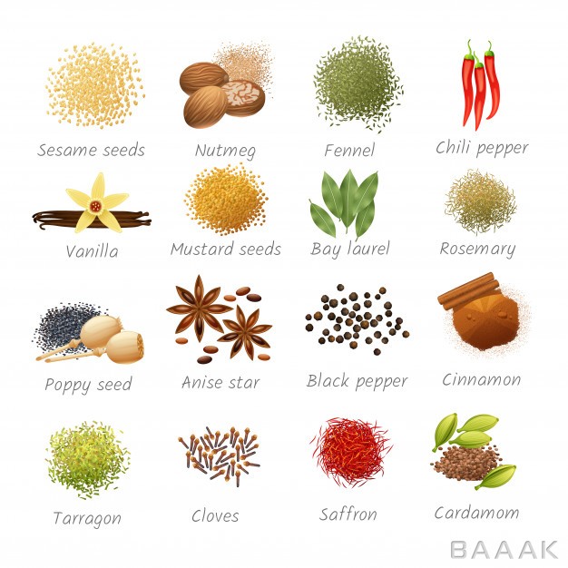 آیکون-زیبا-و-جذاب-Icons-set-with-titles-piquant-food-ingredients-fragrant-spices-realistic_360014983
