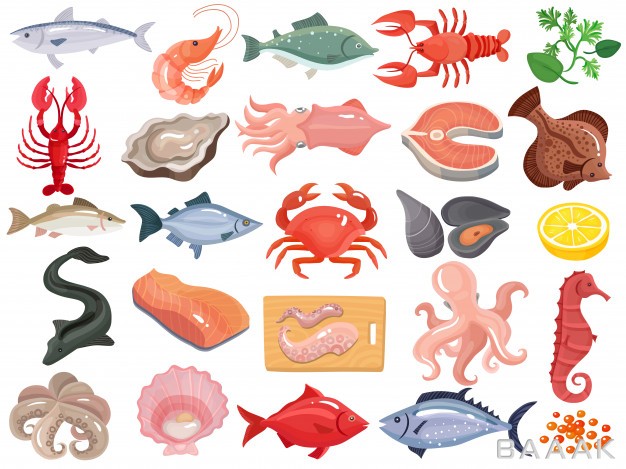 آیکون-خاص-Seafood-flat-icons-big-set_443641732