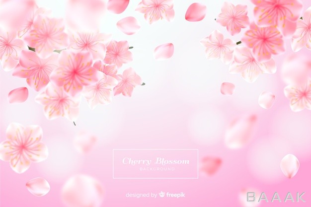 پس-زمینه-مدرن-Realistic-cherry-blossom-background_300324819