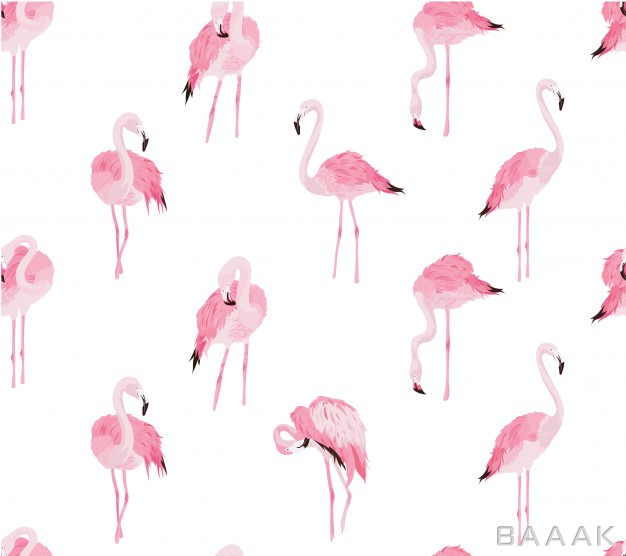 پترن-خاص-و-مدرن-Seamless-flamingo-pattern_362167757
