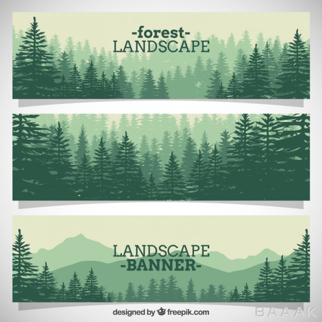بنر-زیبا-و-جذاب-Beautiful-forest-full-pines-banners_457812830