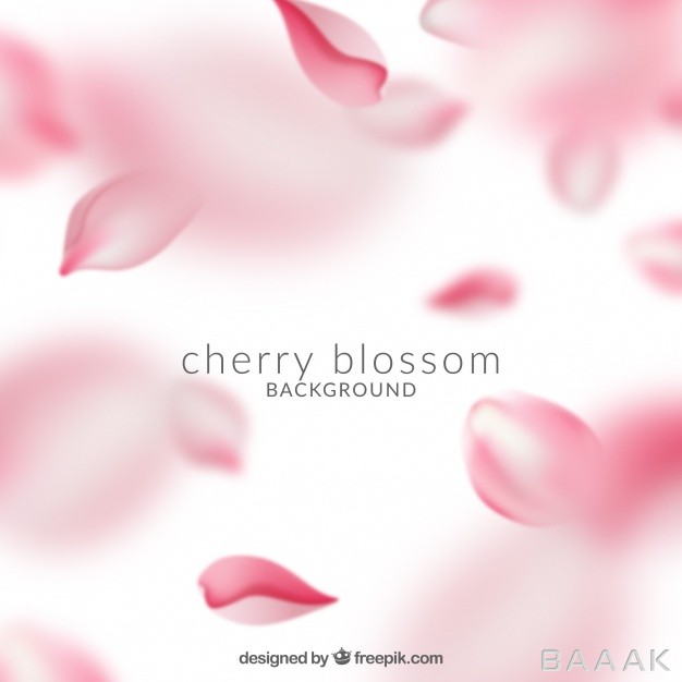 پس-زمینه-مدرن-و-جذاب-Beautiful-pink-cherry-blossom-background_743571150