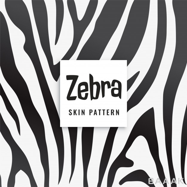 پترن-خلاقانه-Zebra-print-pattern-black-white_779180993