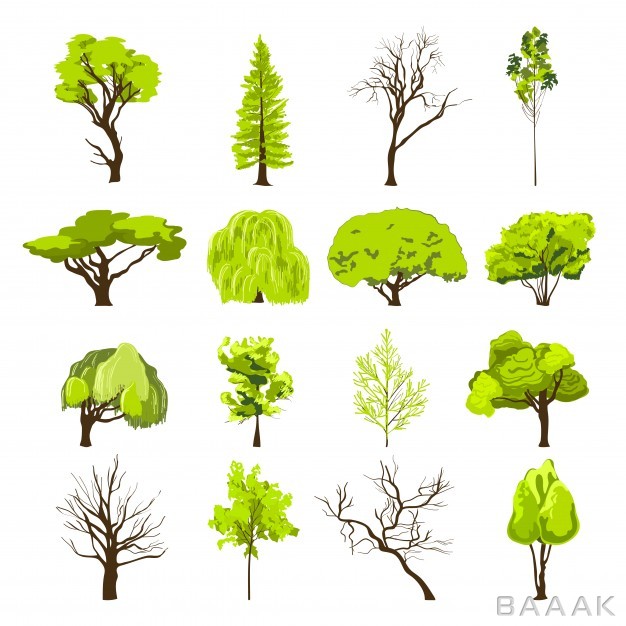 آیکون-خاص-و-خلاقانه-Decorative-deciduous-foliage-conifer-forest-park-trees-silhouette-abstract-design-icons-set-sketch-isolated-vector-illustration_476428307