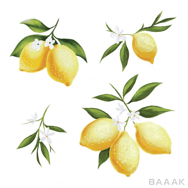 پترن-خاص-و-مدرن-Lemon-vector-pattern_786665325