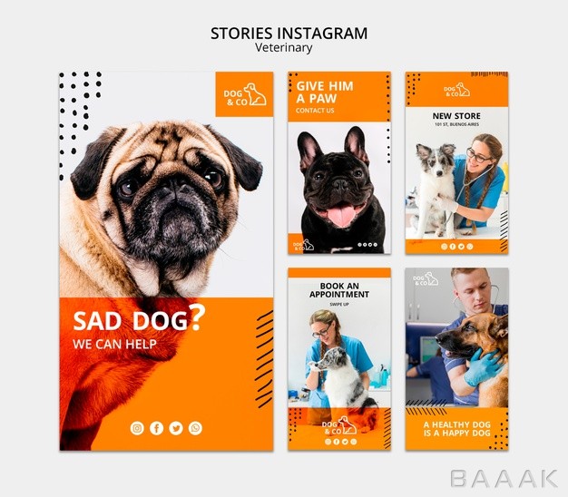 اینستاگرام-خاص-و-خلاقانه-Template-instagram-stories-with-veterinary-concept_418675060