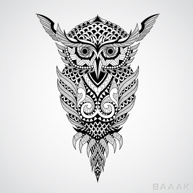 پس-زمینه-مدرن-و-جذاب-Geometrical-owl-design-background_293716434