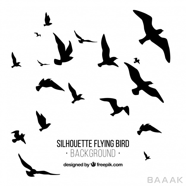 پس-زمینه-خاص-و-خلاقانه-Silhouette-flying-bird-background_182760390