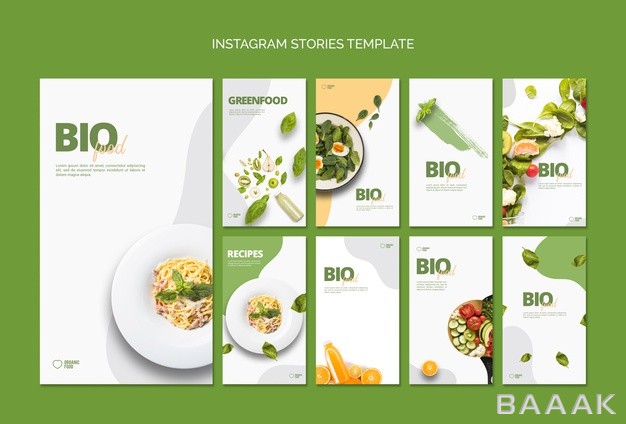 اینستاگرام-خاص-و-مدرن-Bio-food-instagram-stories-template_690862319