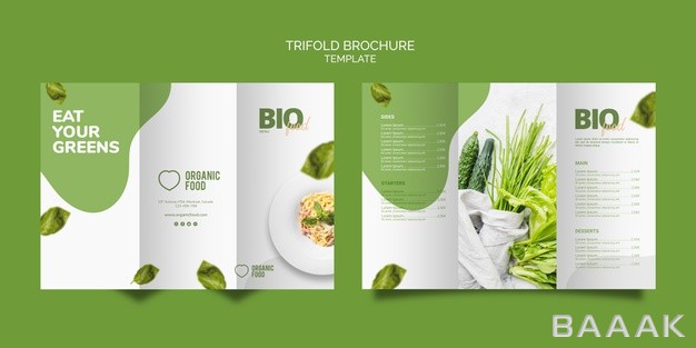 بروشور-مدرن-و-خلاقانه-Bio-food-trifold-brochure-template_561664993