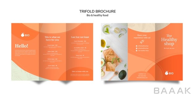 بروشور-مدرن-Bio-healthy-food-concept-trifold-brochure_6345160