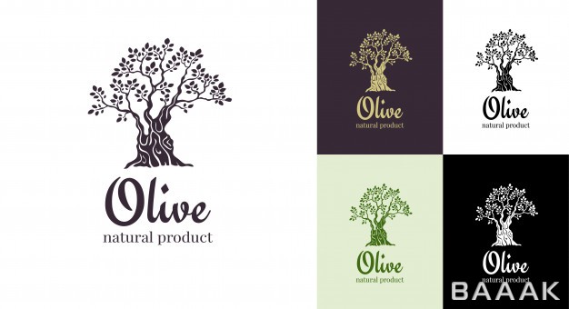 لوگو-خلاقانه-Olive-tree-vector-logo-design-template-oil_4283726