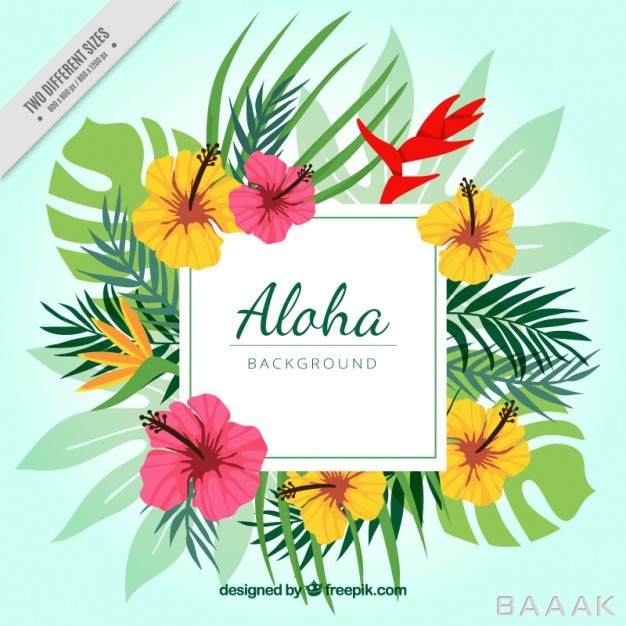 پس-زمینه-خاص-و-مدرن-Aloha-floral-background_335638276