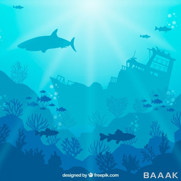 پس-زمینه-مدرن-و-خلاقانه-Underwater-background-with-different-marine-species_997271732
