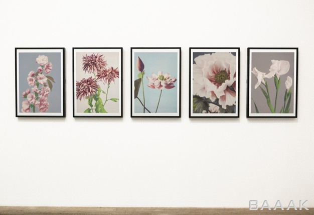 موکاپ-خاص-و-خلاقانه-Collection-floral-art-pieces-wall_379854842