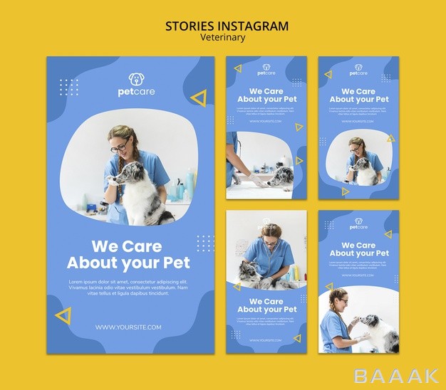 اینستاگرام-جذاب-و-مدرن-Woman-dog-veterinary-instagram-stories-template_869766057