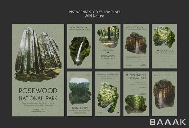 اینستاگرام-پرکاربرد-Rosewood-national-park-instagram-story-template_818762089