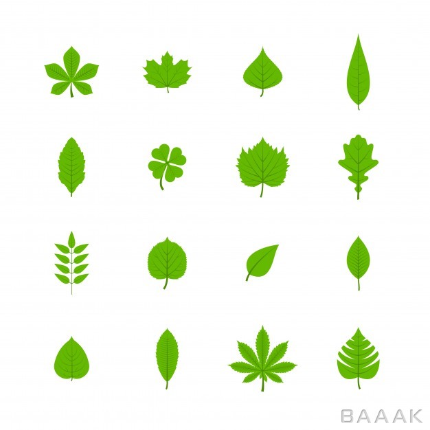 آیکون-مدرن-و-خلاقانه-Green-trees-leaves-flat-icons-set-oak-aspen-linden-maple-chestnut-clover-plants-isolated-vector-illustration_971491116