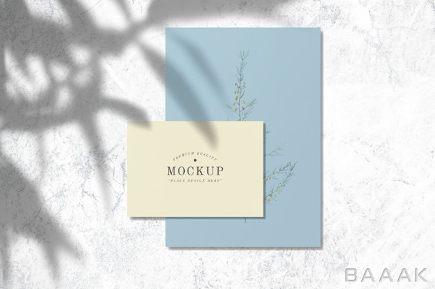 موکاپ-جذاب-و-مدرن-Premium-quality-design-card-mockups_264852071