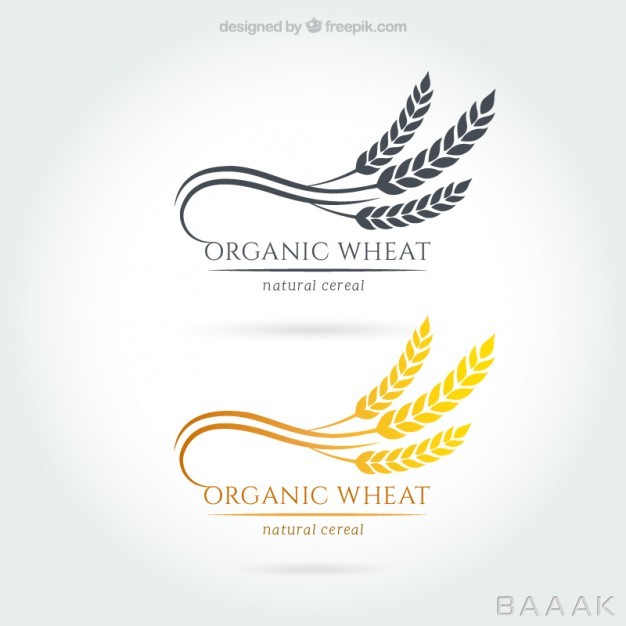 لوگو-زیبا-و-خاص-Organic-wheat-logos_383862082