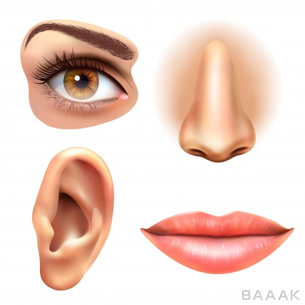 آیکون-جذاب-و-مدرن-Eye-ear-lips-nose-icons-set_588467838