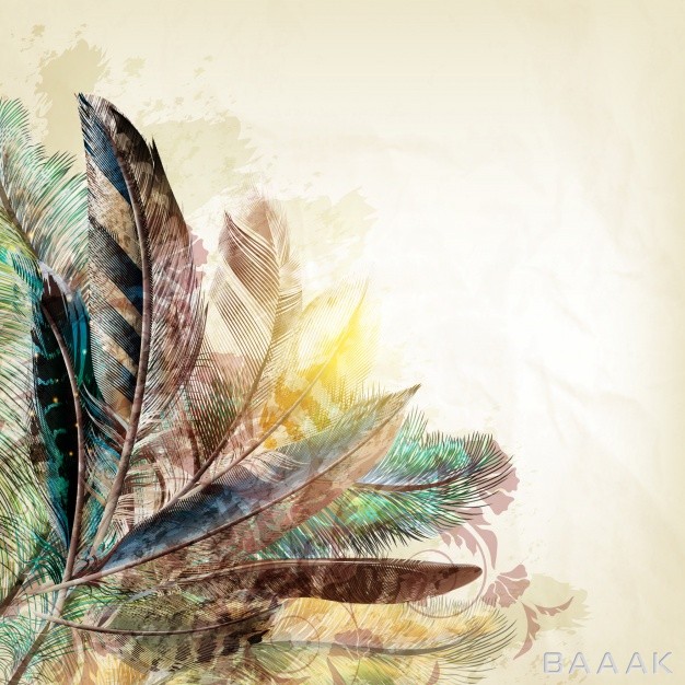 پس-زمینه-خلاقانه-Feathers-background-design_162119766