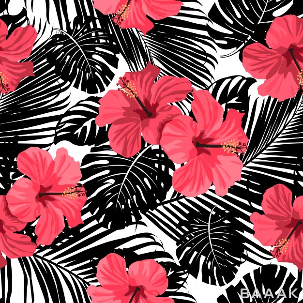 پس-زمینه-مدرن-و-خلاقانه-Tropical-coral-flowers-leaves-black-white-background-seamless_794073186