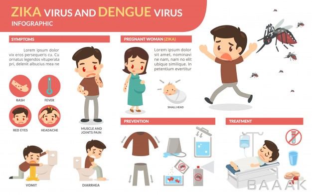 اینفوگرافیک-مدرن-و-خلاقانه-Zika-virus-dengue-virus-infographic_2013526